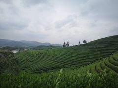 -午潮山国家森林公园