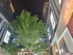 -龙湖重庆时代天街