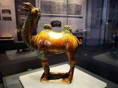 -贵州省博物馆(新馆)