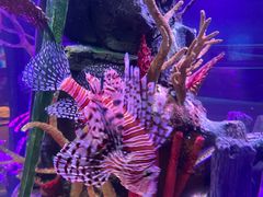 -沈阳海洋探索中心