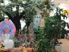-伊顿幼儿园(棕榈泉校园)