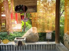 -观唐（国际）度假村温泉