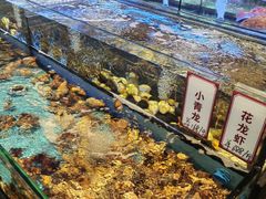 -稻香海鲜饭店(第一国际店)