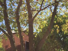 -长赢养生(平度店)