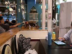 大堂-猫小院猫主题咖啡厅(北锣店)
