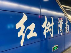 -红树湾(地铁站)