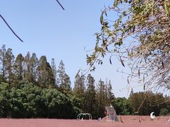 -嘉北郊野公园