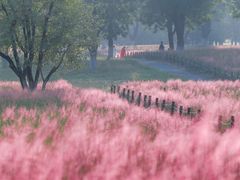 -汉长安城未央宫国家考古遗址公园