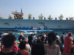 -秦皇岛新澳海底世界