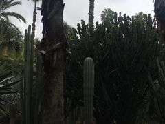 -马洛雷勒花园
