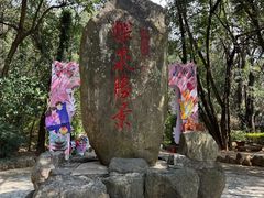 -蝴蝶泉公园