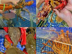 -明记海鲜大排档(巽寮湾店)