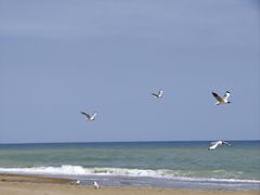 -青海湖二郎剑景区