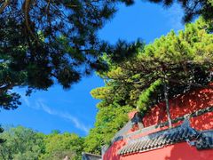 -妙峰山风景名胜区