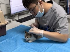 -达爱动物医院·犬猫分区·CT·复杂眼科(远洋山水分院)