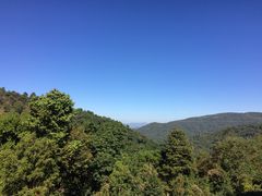 -清迈丛林飞跃 JungleFlight