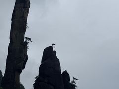 -三清山风景名胜区
