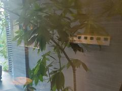 -王府茶楼茶宴·创意菜(朝阳公园店)