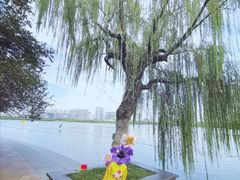 -天鹅湖体育公园