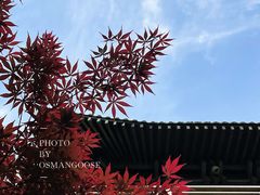 -香积寺