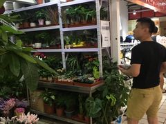 -崇文门菜市场-停车场