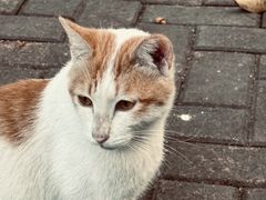 -晓港公园