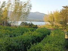 -雅达·阳羡溪山小镇中心