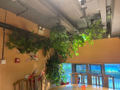 -巢爷老味(东方红店)