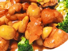 -新悦·霞浦海鲜生(上下杭店)