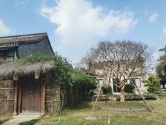 -西溪国家湿地公园