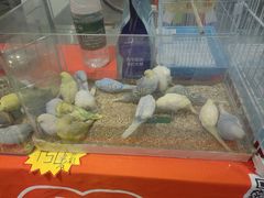 -丽达购物中心(崂山店)