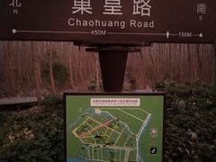 -合肥滨湖国家森林公园