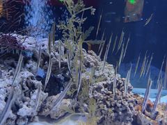 -海合安天津极地海洋公园