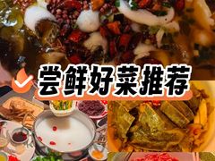 -长沙猫歌音乐餐厅(湖南女子大学店)