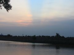 -大湾区中央湿地公园
