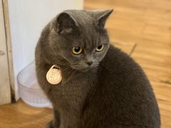 -春笙食堂.丼饭拉面寿司(GOGO新天地店)