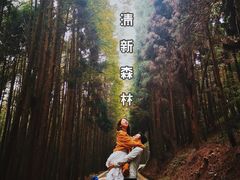 -山王坪喀斯特国家生态公园