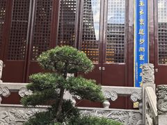 -上海白云观