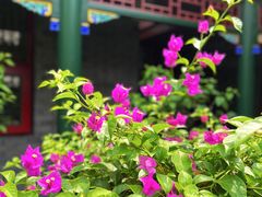 -火火咖啡&茶空间