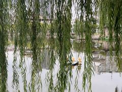 -文瀛公园