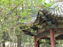 -颐和园