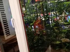 -过桥缘·过桥米线(西冶街店)
