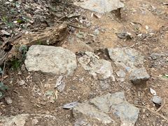 -九曜山