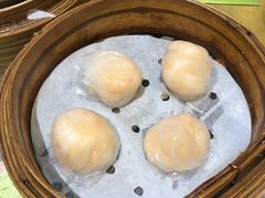 晶莹虾饺-添好运点心专门店(北角店)