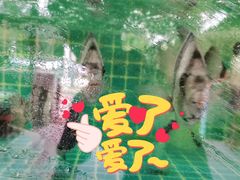 -坛南湾阿强农家乐.海鲜大排档老字号(福州地标美食店)