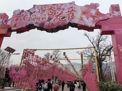 -北京凤凰岭