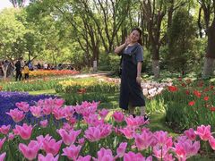 -石家庄市植物园