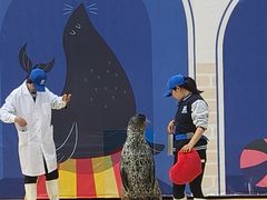 -秦皇岛乐岛海洋王国