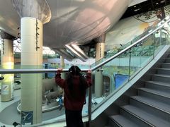 -陕西自然博物馆