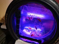 -卧龙堡客栈·中餐厅(古北水镇店)